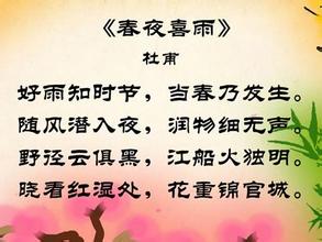 “春夜喜雨” 春夜喜雨
